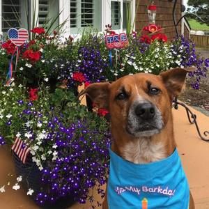 Meet your Posher, Gregg